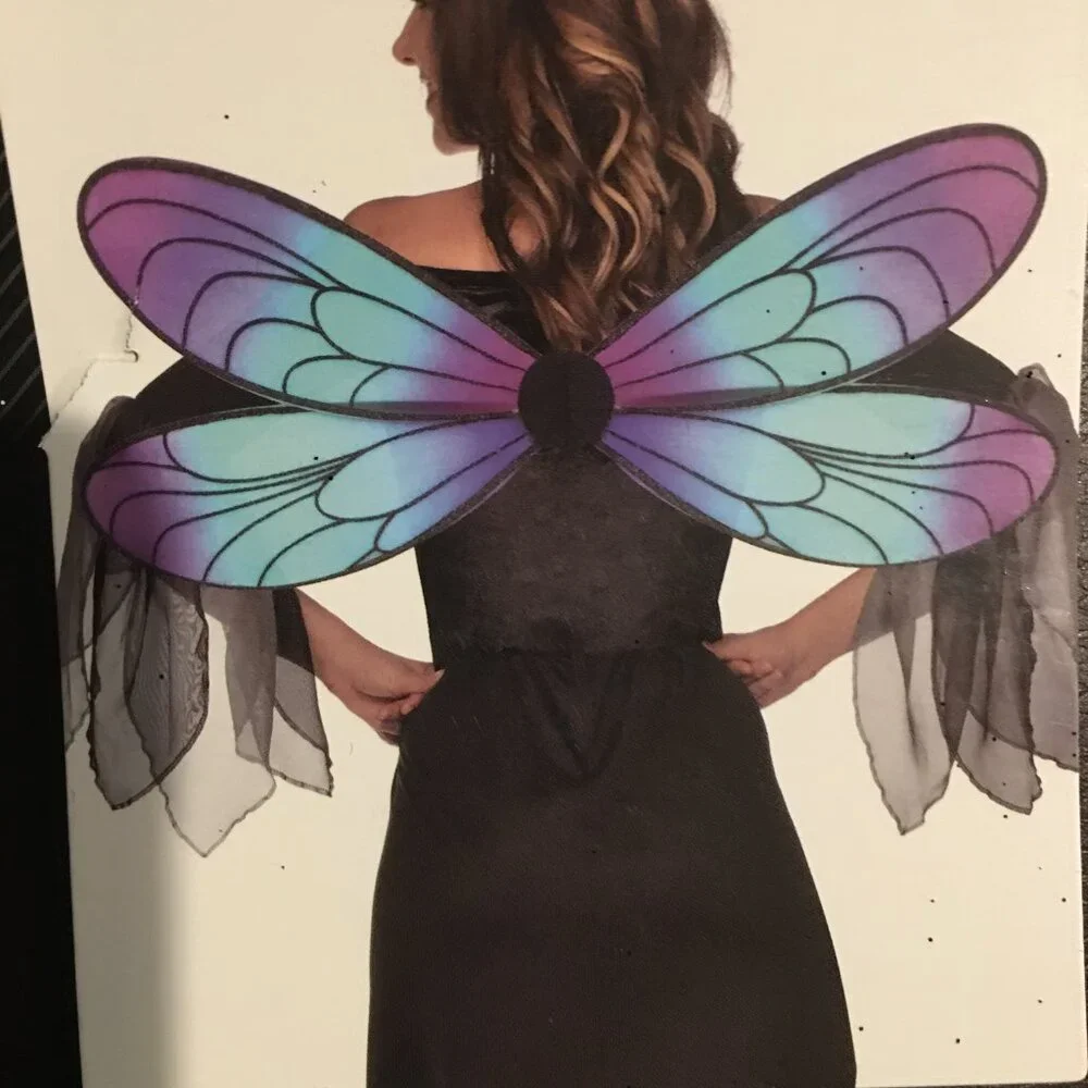 Girl's Size Witch Costume Dress - Dress & Wings  Size 12-14